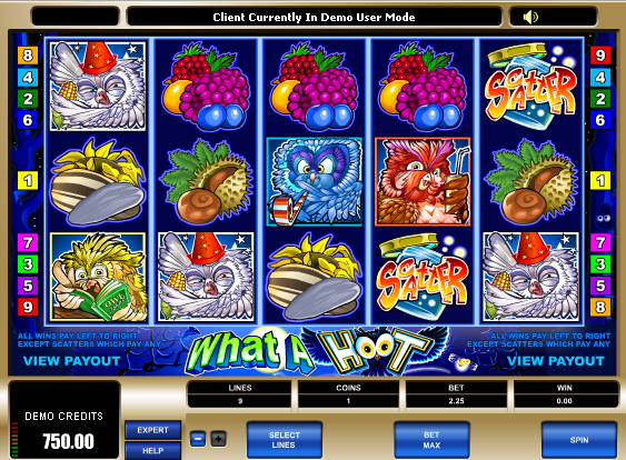Juego de tragamonedas What a Hoot 